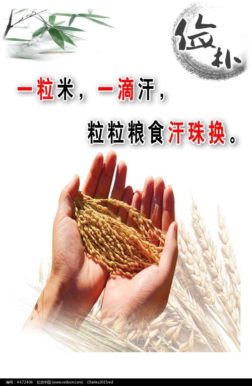 霍夫斯特拉大学文凭购买